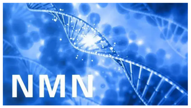 5953a8f9381536bfdb86b30fad3ea2a0