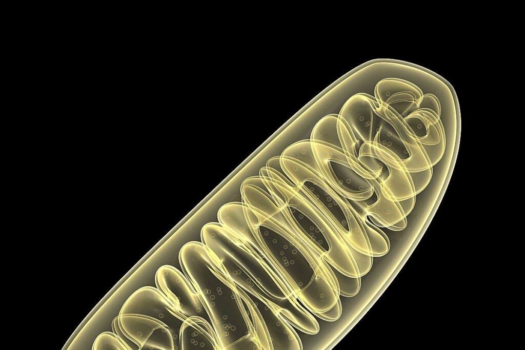 f3e1979b3b0886e869fea9c485f1b868